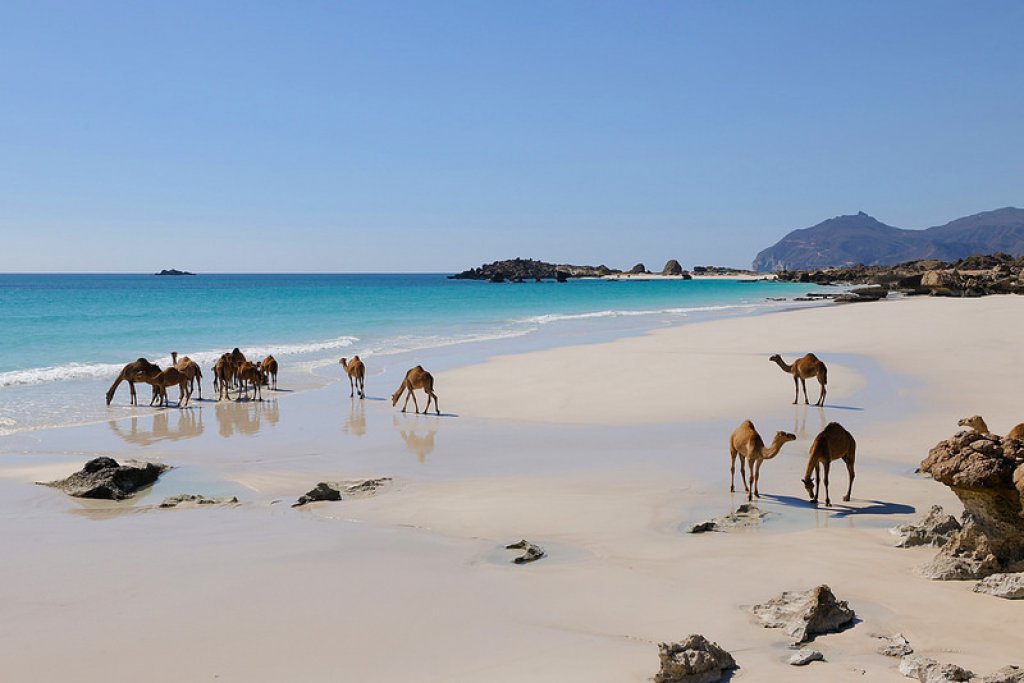 Viaggi in Oman