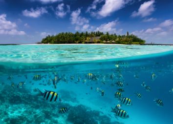 snorkeling-alle-Seychelles.jpg