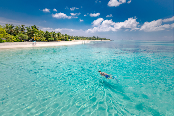 snorkeling alle seychelles