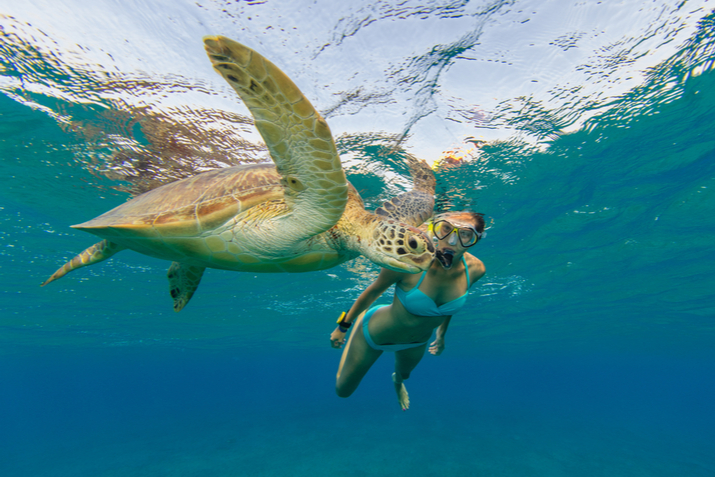 snorkeling alle seychelles