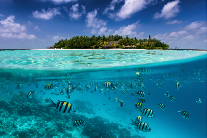 snorkeling alle seychelles