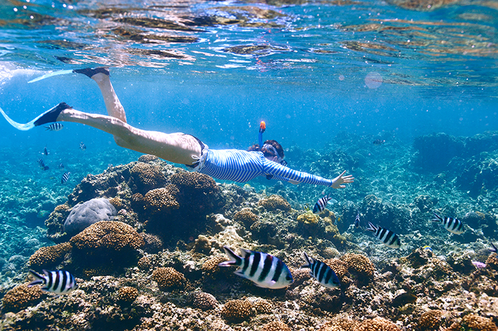 snorkeling alle seychelles