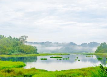 lago-del-coccodrillo-nel-parco-cat-tien.jpg