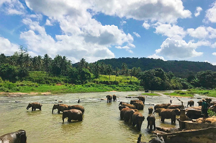 consigli di viaggio in Sri Lanka