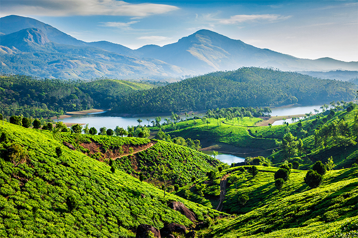 viaggio in Kerala