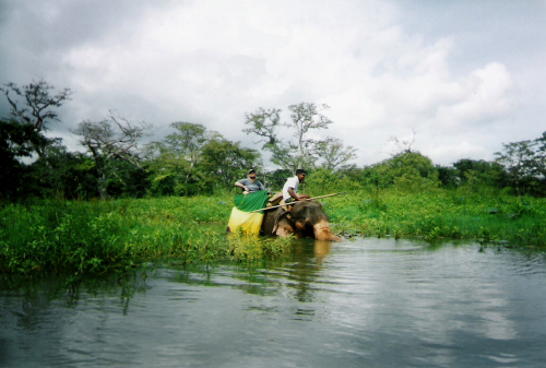 habarana-elephant-ride.jpg