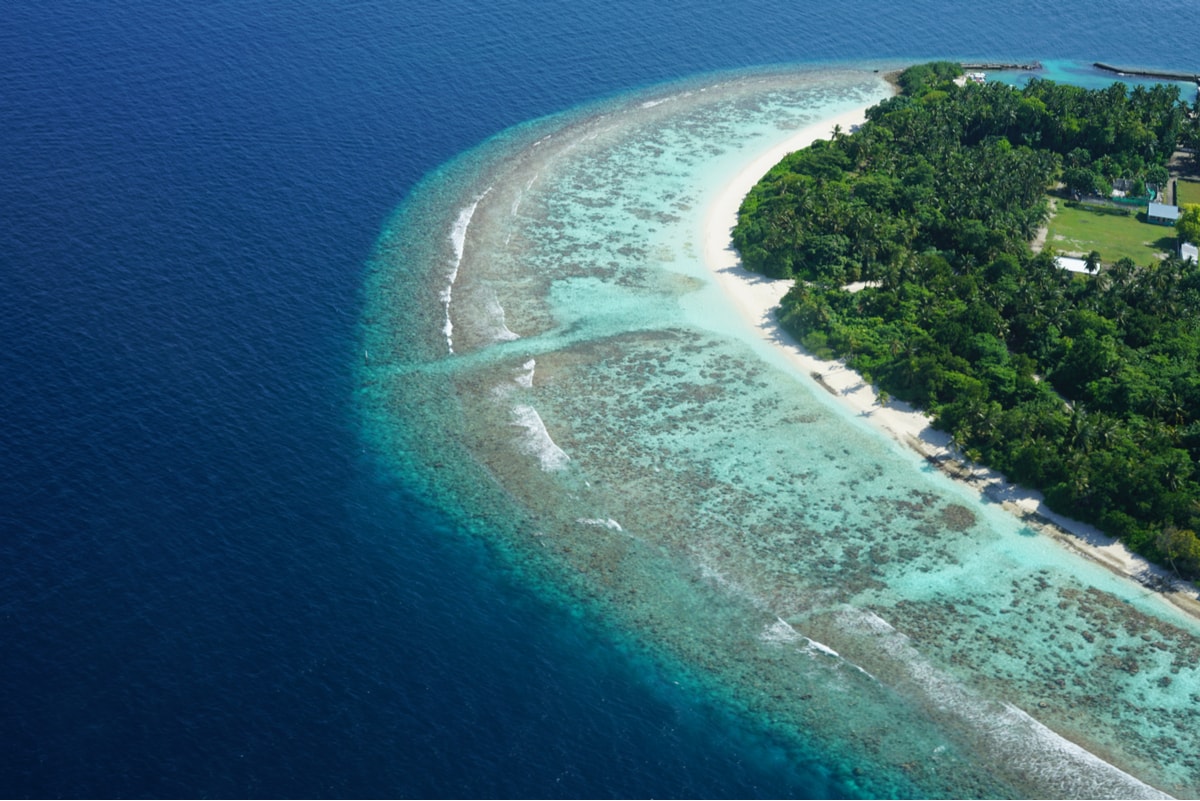 Cosa vedere alle Maldive: Atollo Baa