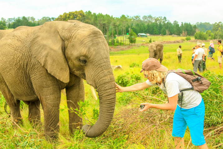 viaggiare in Sud Africa