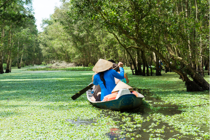 delta del Mekong