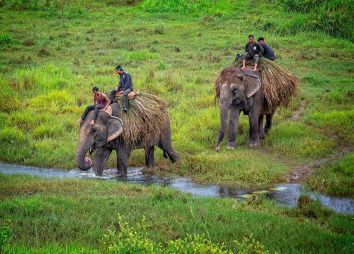 Chitwan-National-Park-in-Nepal.jpg