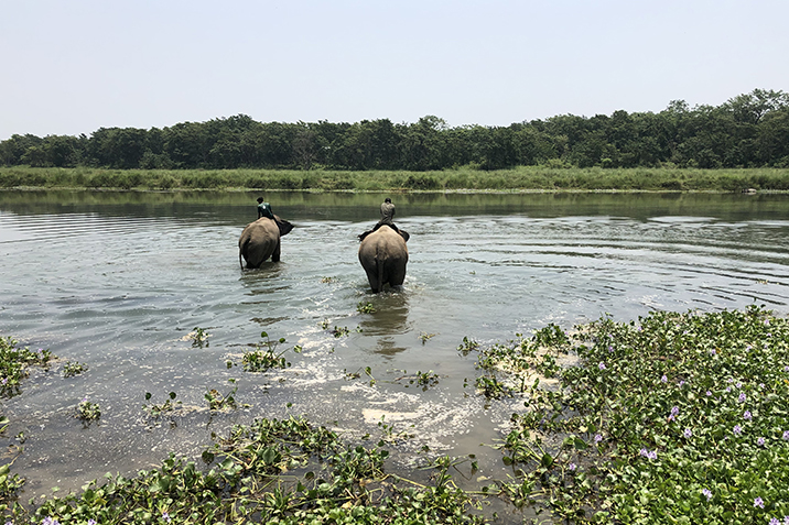 Chitwan National Park in Nepal