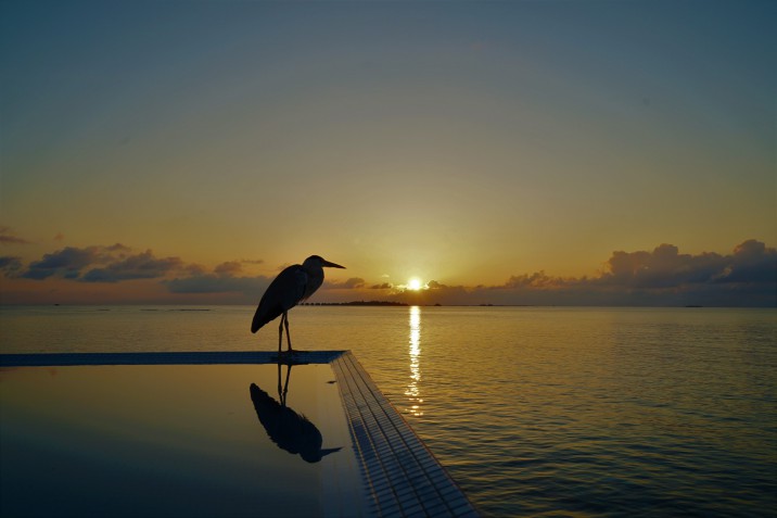 viaggio di nozze alle Maldive