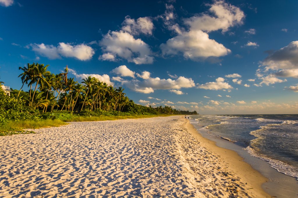 Fly and drive stati uniti Sotto il sole della Florida