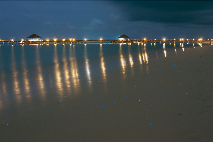 Spiaggia di Vaadhoo