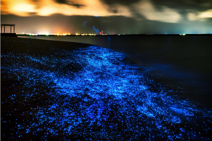 Spiaggia di Vaadhoo