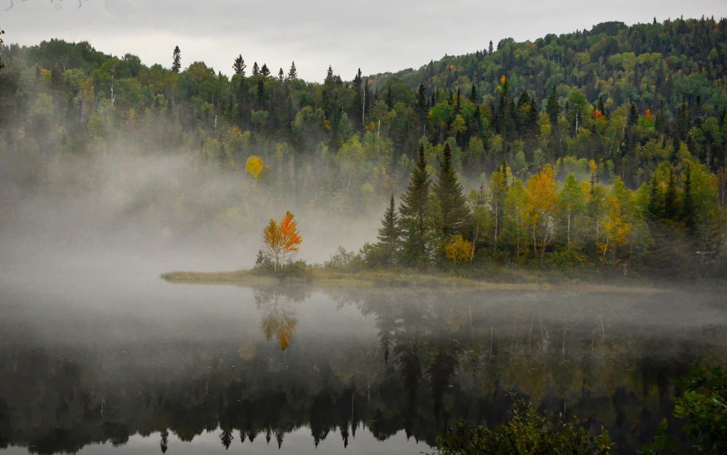 Le meraviglie del Canada Tour