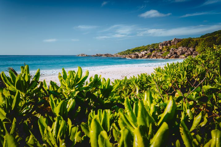 isole delle Seychelles