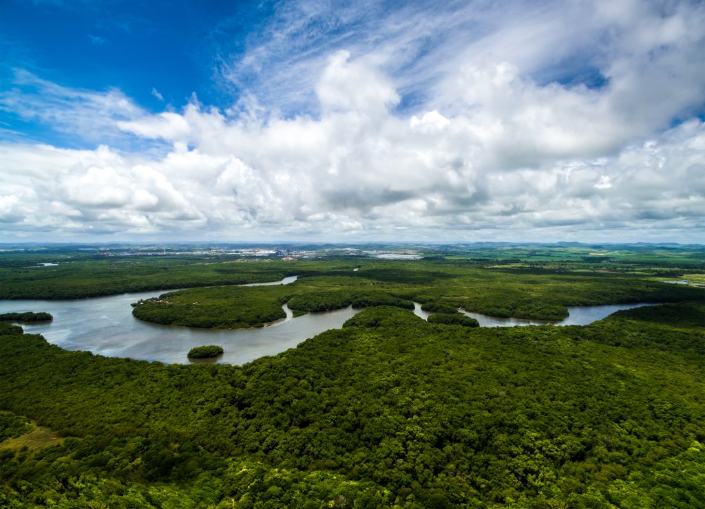 Tour Brasile città e foreste