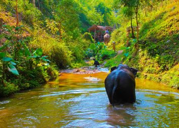 Laos-4-viaggio-dgvtravel.jpg