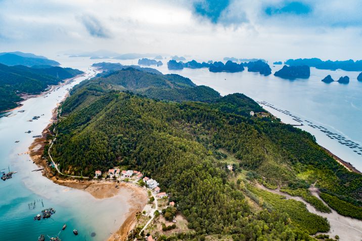 Perche Vale La Pena Fare Una Crociera Nella Baia Di Ha Long