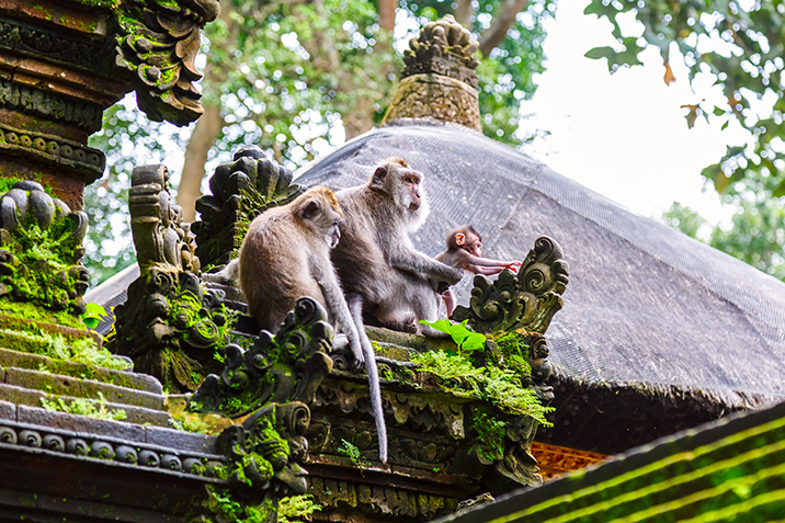 viaggio di nozze a Bali