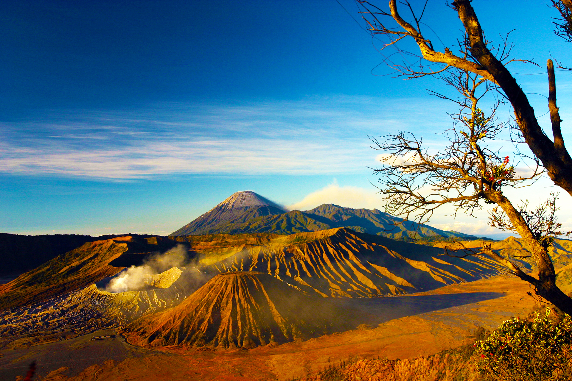 Jogjakarta - Surabaya - Bromo