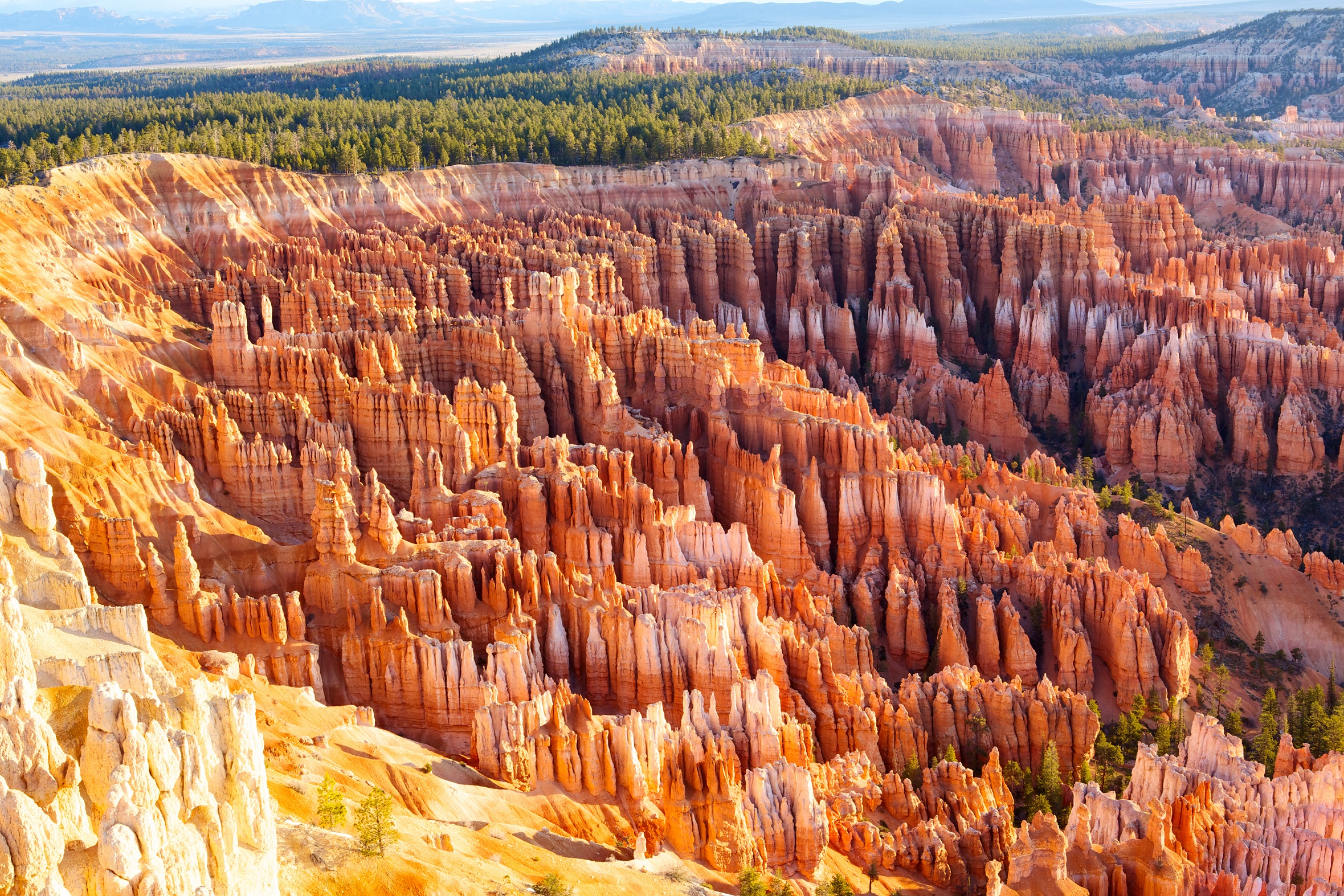 PAGE - BRYCE CANYON
