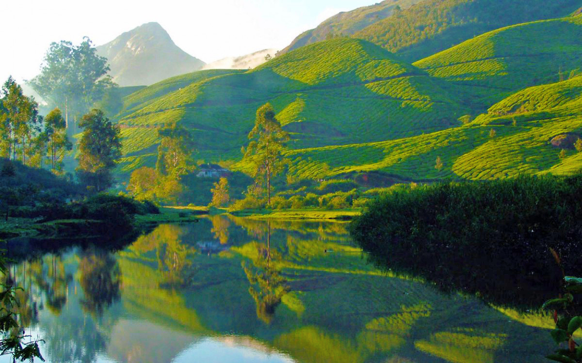 Cochin - Munnar
