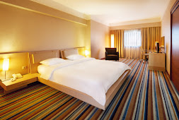 Hotel Anemon Eskisehir 5*