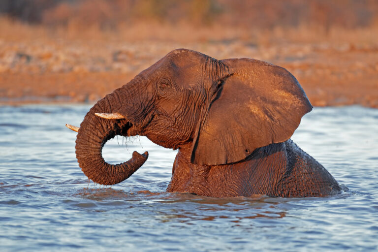 Namibia