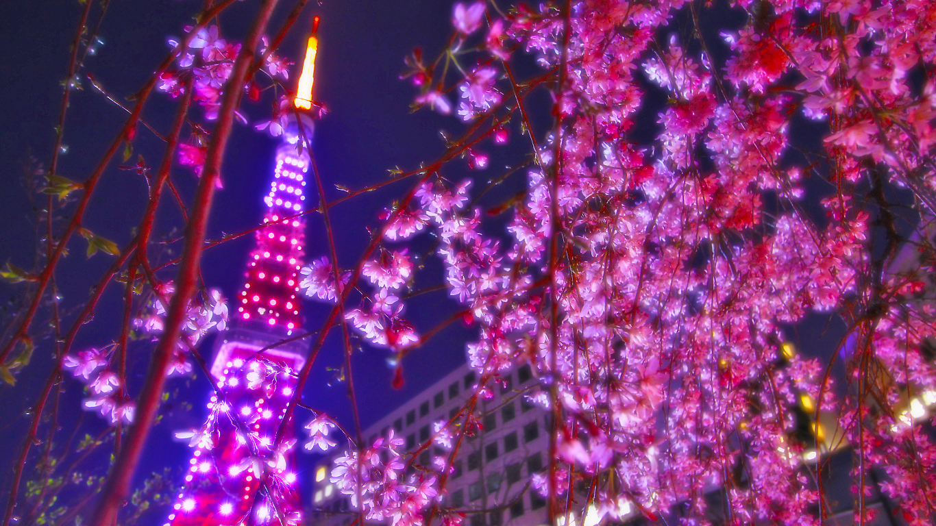 Italia - Tokyo