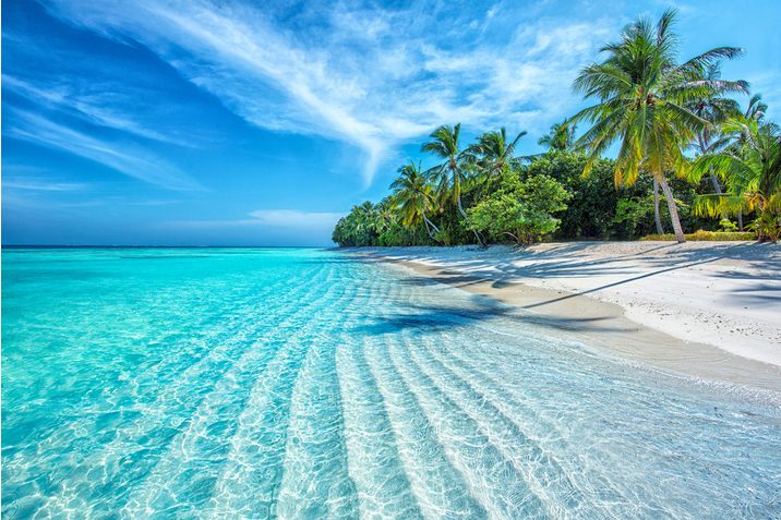 Maldive o Seychelles Maldive o Seychelles