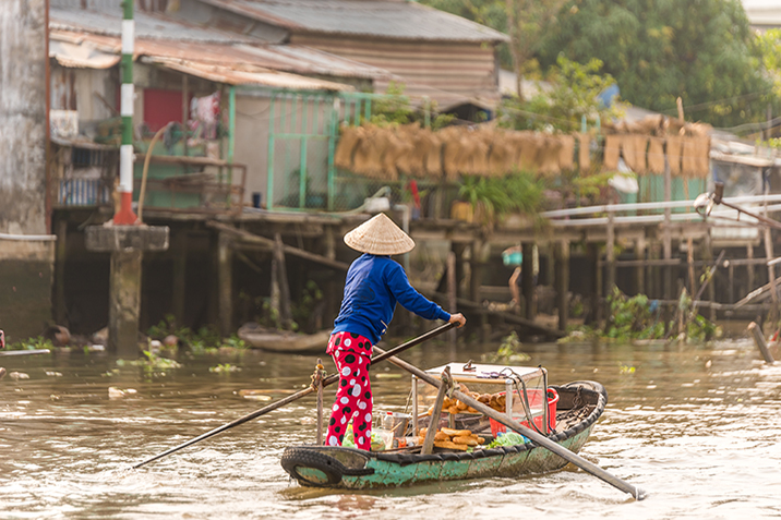 delta del Mekong