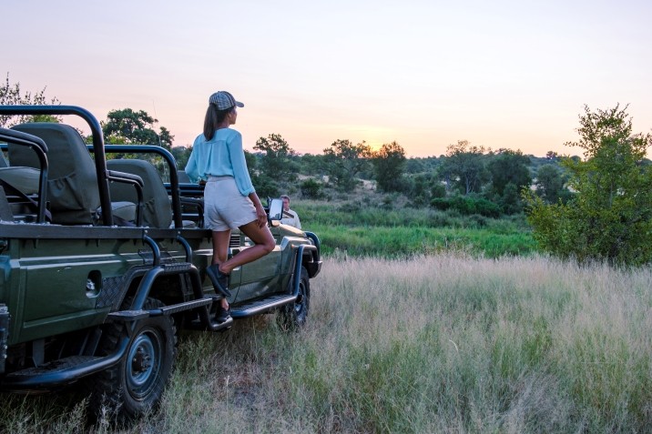 Parco nazionale del kruger Sudafrica