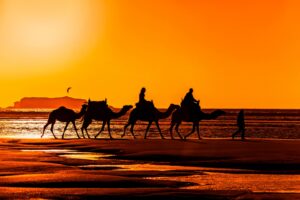 MARRAKESH – AIT BENHADDOU - ZAGORA (380 KM)