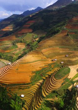 Tour Perle di Vietnam e Angkor
